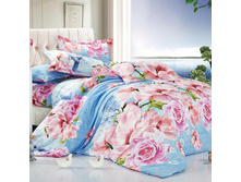 ���������� ����� ��� 1,5 ������ Domus ���. D� 74. ���� 756 ���