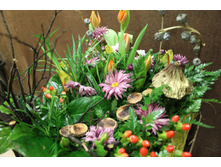 �������-012