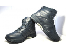 Phoca thumb l 1611 25.jpg