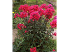 ����� ����� ���. ����.jpg