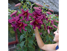 ����� ����� ����� ���. ���� 2.jpg