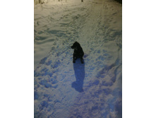 IMG 20160119 204610.jpg