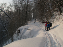IMG 5946.jpg