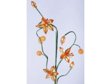 ��������� 16-083 70�.jpg