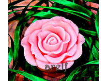 ����� ���� - 130 ���.