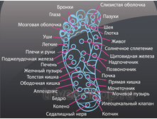 �������� ����