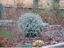 ���� ������ ��� �� ������ ������ (������).JPG