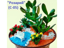 �-05 �������_300+%