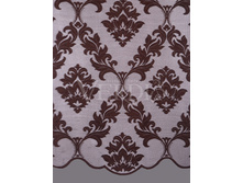 ����� ����������� �������