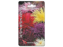 ���������� ����� ��������� ���������. 100 ��. 16 ���.jpg