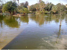 IMG 20160109 151811 HDR.jpg