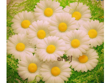 ������� - 50 ���./��.