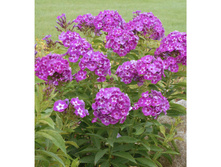 ����� ����� ���. ����2.jpg