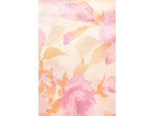 �120120-beigepink. 120�120. So-ph-ie Ro-ma-ge. ������. 339 ���.jpeg