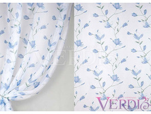 ����� ������ ����