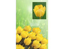 �������  43 ���.  ����� ������ 10 ��!!!