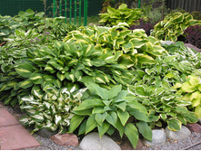 ����� � ����������5.jpg