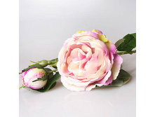 ���� ����������� ����-�������, 3-572 190�.jpg