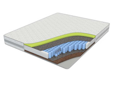 ������ ���������