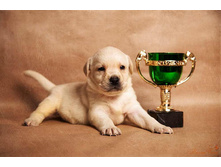 20xluvw0jGU - �����.jpg