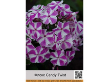 ����� Candy Twist ���� �� 1 �� 152�.00�.