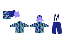 ������ ������������ ������� C17006S