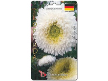 ����� ��������� ����� ������� �����. 80 ��. 16 ���.jpg