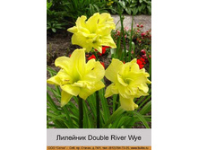 �������� Double River Wye ���� 1 �� 89�.00�.