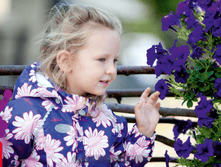 �������� 11-01-2016 204157.png