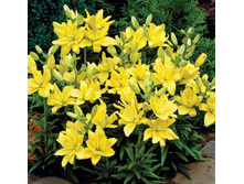 ����� ���� ������� ���. ����2.jpg