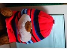 ���� ����������