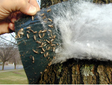 ������ ���� ��. ���� 2.jpg