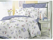 ��� ����� ���� ������ ���.png