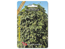 ����� ������������ �������� ������. 30 ��. 22 ���.jpg