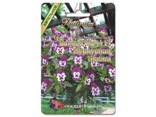 ����� ��������� ������ ���� F1 ��������� �����. 5 ��. 60 ���.jpg