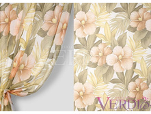 ����� ������ �������