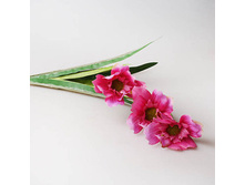 ����� ����� ��������, ����������, 29291 130�.jpg