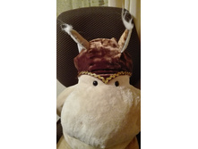 IMG 20160129 215936.jpg