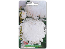 ����� ��������� c���� ������ ����� �����. 70 ��. 9 ���.jpg