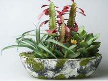 ������������� ���������� 42303 680� ����� ���� 230�