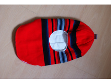 ���� ����������