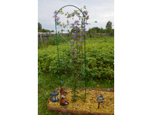 ���������� (1).JPG