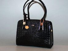 10535-001cher DAF.jpg