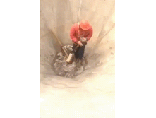 ��� ��� ���� ����������!