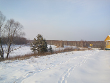 IMG 20160104 135508.jpg