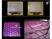 ���. ����