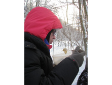 IMG 5998.jpg