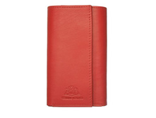 ������ ��� ������ 5539 red - 820 ���.