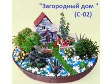 �-02 ���������� ���_650+%