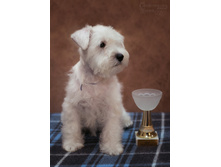 3� �����.jpg